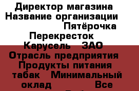 Директор магазина › Название организации ­ X5 Retail Group «Пятёрочка», «Перекресток», «Карусель», ЗАО › Отрасль предприятия ­ Продукты питания, табак › Минимальный оклад ­ 36 000 - Все города Работа » Вакансии   . Мордовия респ.